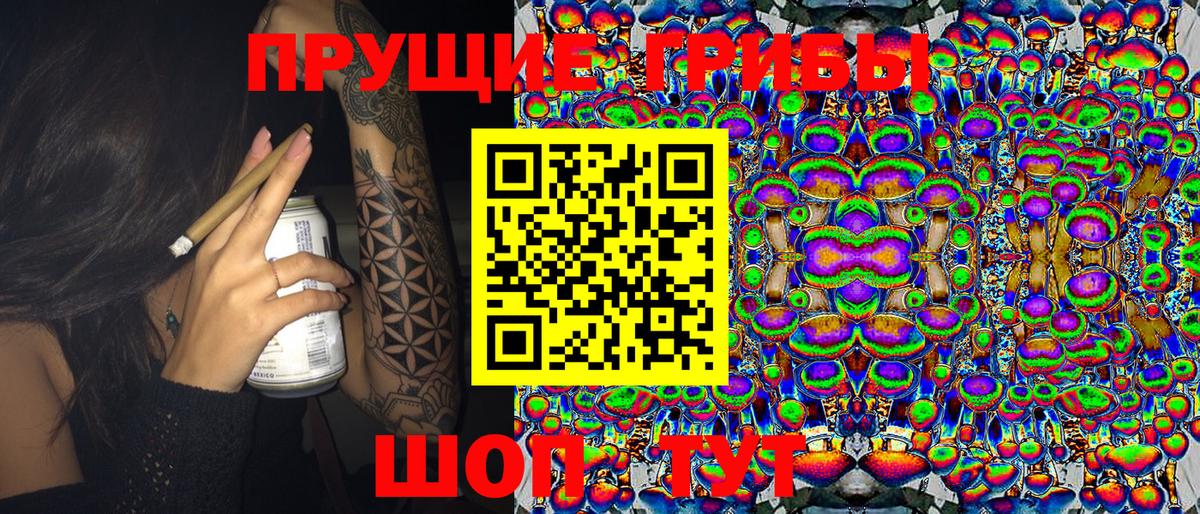 Псилоцибиновые грибы мицелий  Вход с VPN  купить   Симферополь 