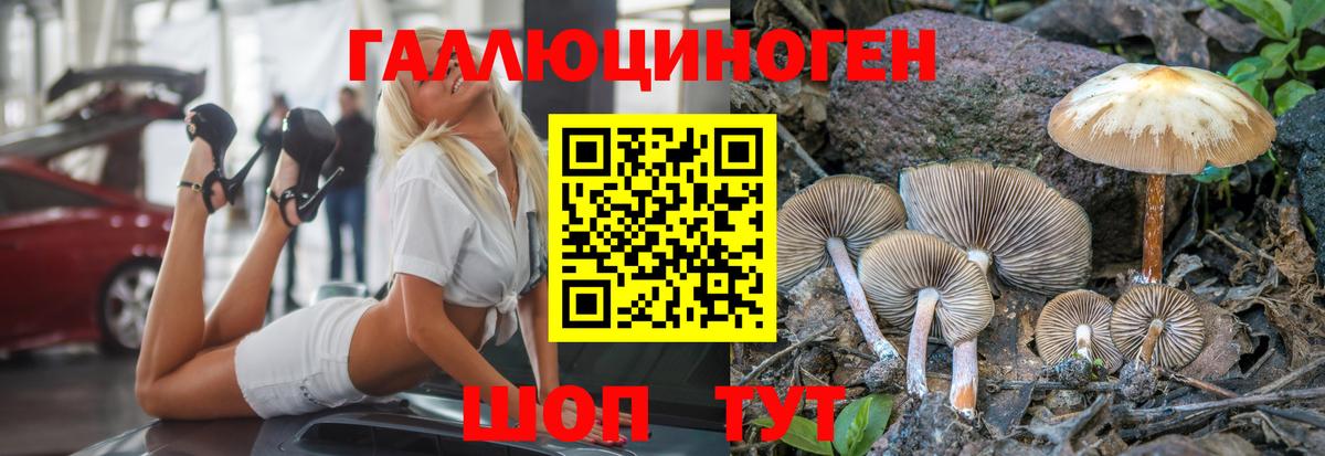 Галлюциногенные грибы ЛСД Симферополь