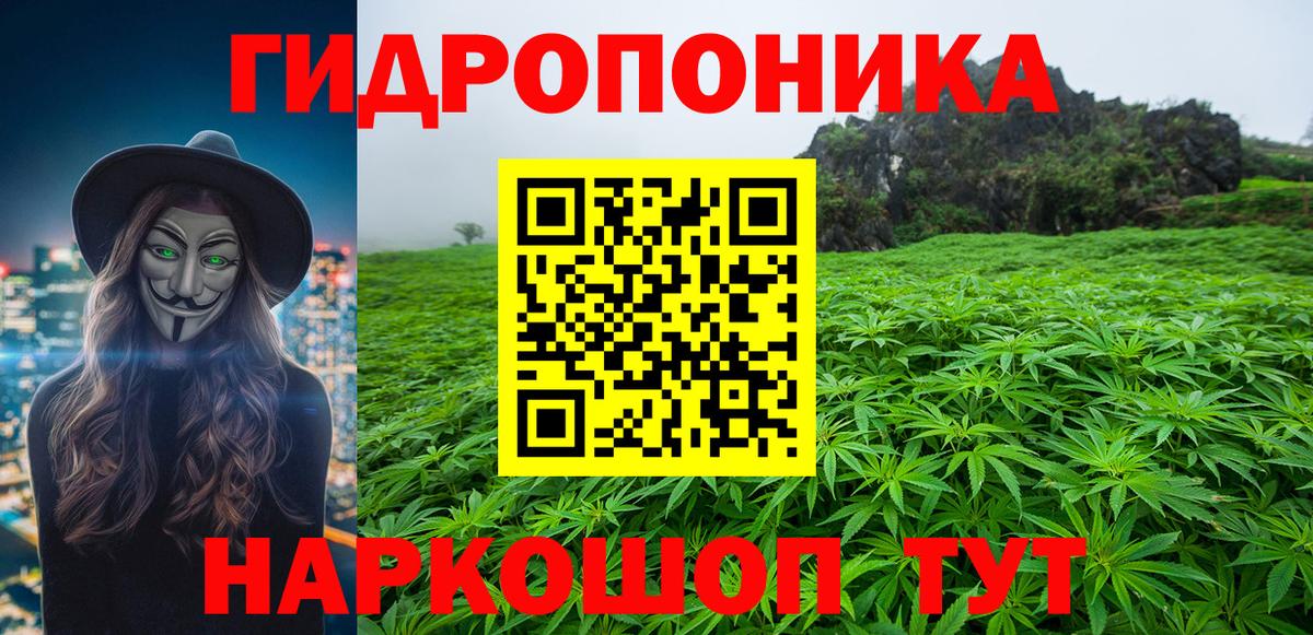 МАРИХУАНА ГИДРОПОН  Конопля сатива  Симферополь  Вход с VPN 
